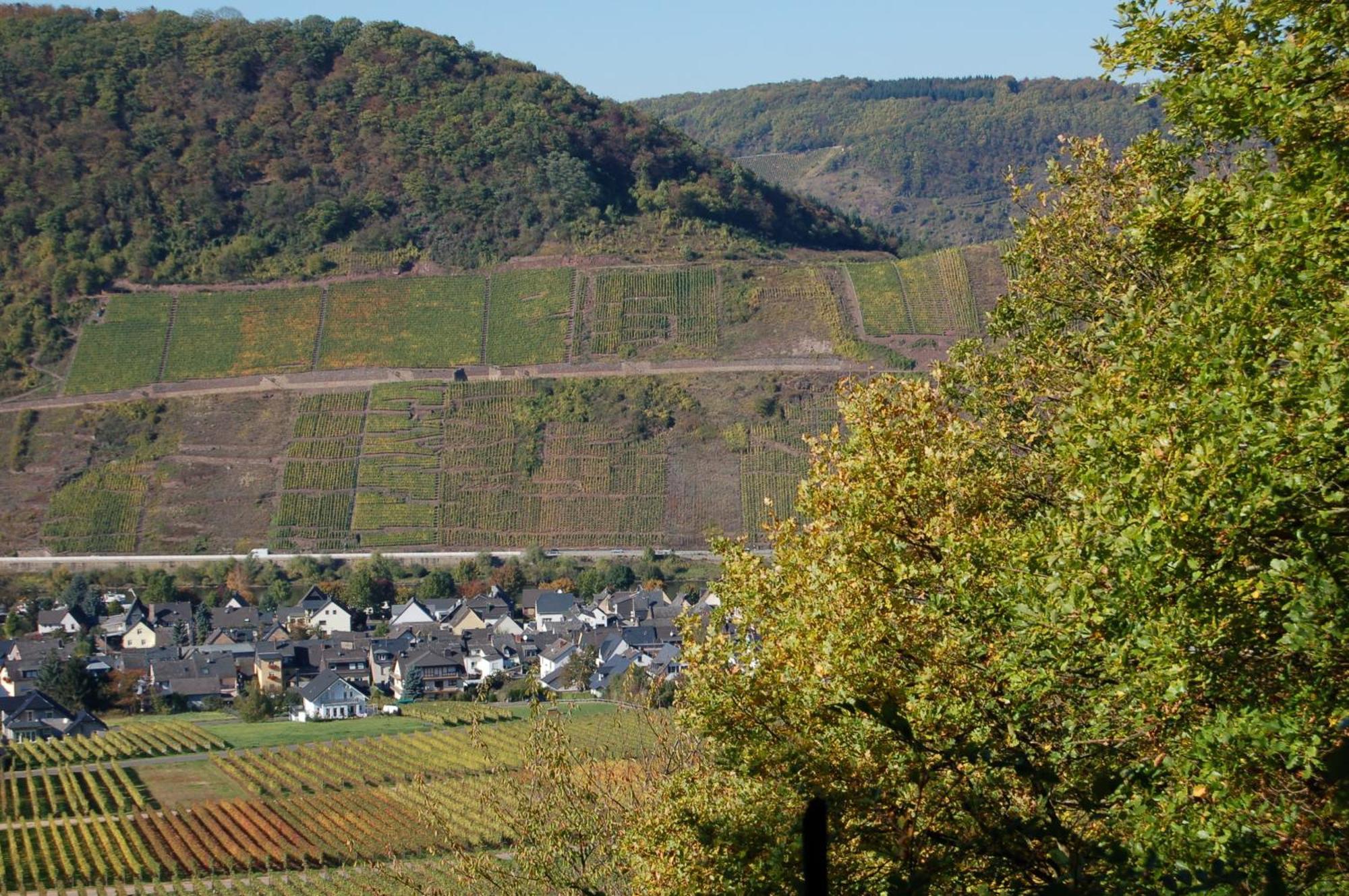 Ferienhaus Mosel Bub Бруттиг-Фанкель Экстерьер фото