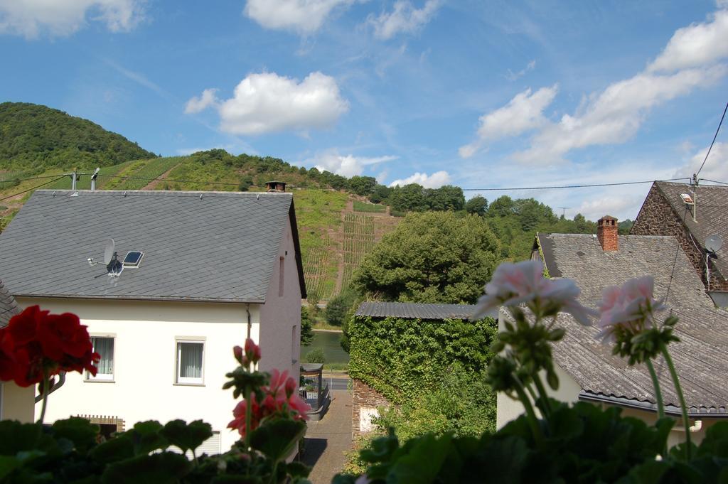 Ferienhaus Mosel Bub Бруттиг-Фанкель Номер фото