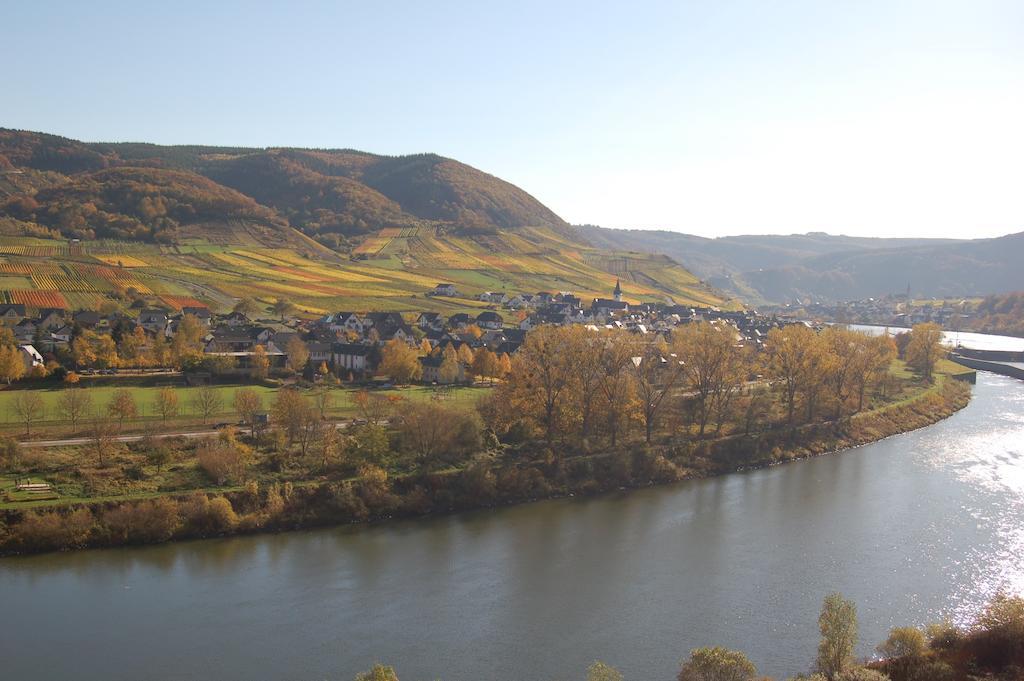 Ferienhaus Mosel Bub Бруттиг-Фанкель Номер фото